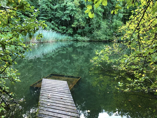 Staw Eichweier Lub Eichweiher Obszar Rekreacyjny Trzy Stawy Lub Das — Zdjęcie stockowe