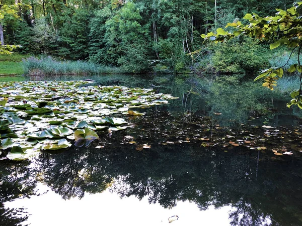 Eichweier Eichweiher Pond Three Ponds Recreation Area Das Naherholungsgebiet Drei — Stock Photo, Image