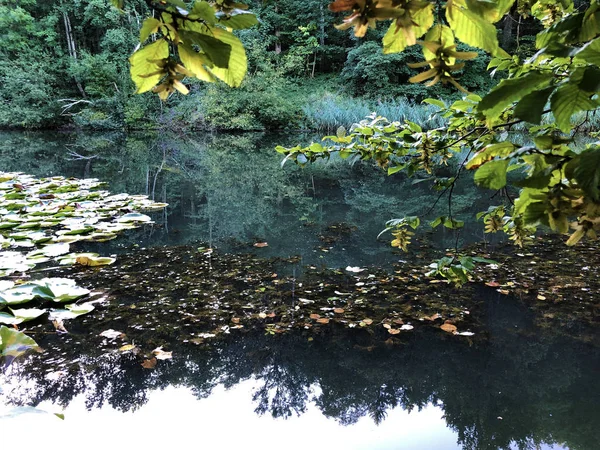 Λίμνη Eichweier Eichweiher Περιοχή Αναψυχής Τριών Λιμνών Das Naherholungsgebiet Drei — Φωτογραφία Αρχείου