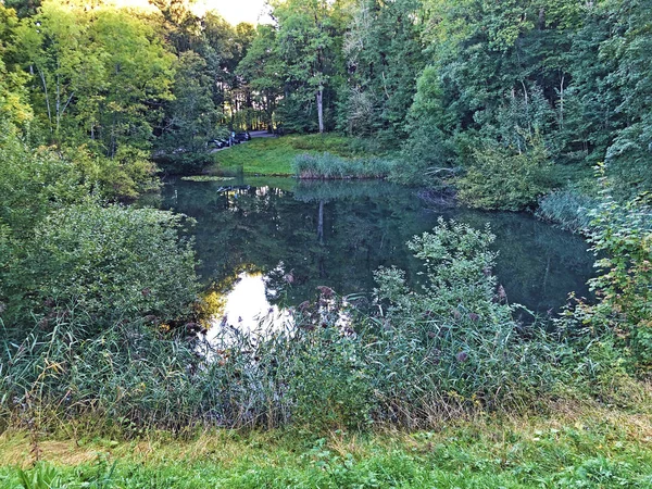 Eichweier Eichweiher Das Naherholungsgebiet Drei Weihern Drei Weieren Gallen Switzerland — 스톡 사진