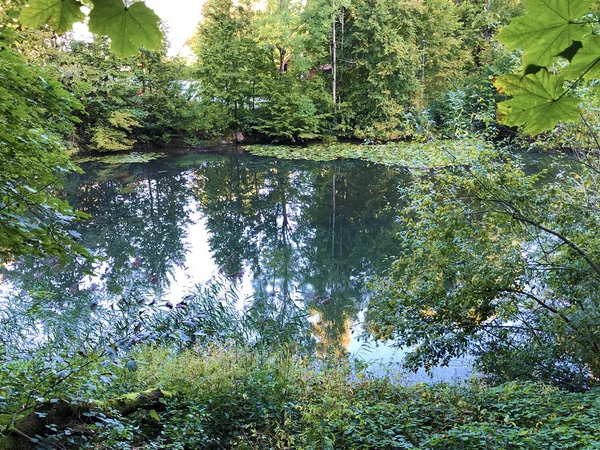 EichweierまたはEichweher Pon 3つの池のレクリエーションエリアまたはDas Naherholungsgebiet Drei Weihern Drei Weeren Gallen スイス — ストック写真