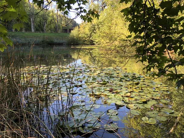 Eichweier Estanque Eichweiher Área Recreación Tres Estanques Das Naherholungsgebiet Drei — Foto de Stock