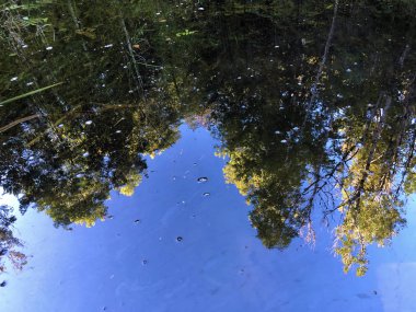 Altmannenweier veya Altmannenweiher göleti veya Altmannenweiher (Üç Pont dinlenme alanı veya Das Naherholungsgebiet Drei Weihern), Drei Weieren - St. Gallen, İsviçre