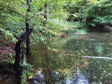 Altmannenweier veya Altmannenweiher göleti veya Altmannenweiher (Üç Pont dinlenme alanı veya Das Naherholungsgebiet Drei Weihern), Drei Weieren - St. Gallen, İsviçre
