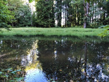Altmannenweier veya Altmannenweiher göleti veya Altmannenweiher (Üç Pont dinlenme alanı veya Das Naherholungsgebiet Drei Weihern), Drei Weieren - St. Gallen, İsviçre