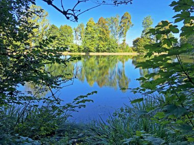 Buebenweier veya Buebenweiher göleti (Üç Pont dinlenme alanı veya Das Naherholungsgebiet Drei Weihern), Drei Weieren - St. Gallen, İsviçre