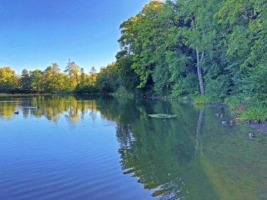 Buebenweier veya Buebenweiher göleti (Üç Pont dinlenme alanı veya Das Naherholungsgebiet Drei Weihern), Drei Weieren - St. Gallen, İsviçre