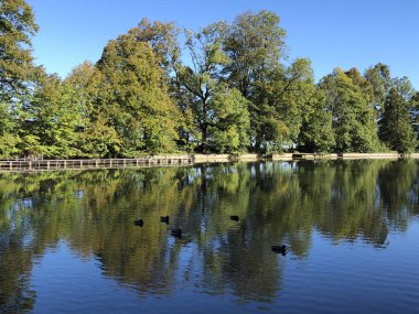 Buebenweier veya Buebenweiher göleti (Üç Pont dinlenme alanı veya Das Naherholungsgebiet Drei Weihern), Drei Weieren - St. Gallen, İsviçre