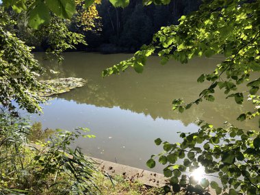 Buebenweier veya Buebenweiher göleti (Üç Pont dinlenme alanı veya Das Naherholungsgebiet Drei Weihern), Drei Weieren - St. Gallen, İsviçre