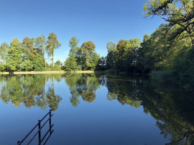 Buebenweier veya Buebenweiher göleti (Üç Pont dinlenme alanı veya Das Naherholungsgebiet Drei Weihern), Drei Weieren - St. Gallen, İsviçre