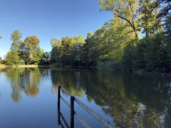 Buebenweier veya Buebenweiher göleti (Üç Pont dinlenme alanı veya Das Naherholungsgebiet Drei Weihern), Drei Weieren - St. Gallen, İsviçre