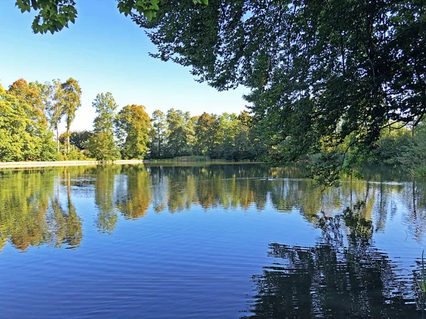 Buebenweier Buebenweiher 리플레 Das Naherholungsgebiet Drei Weihern Drei Weieren Gallen — 스톡 사진