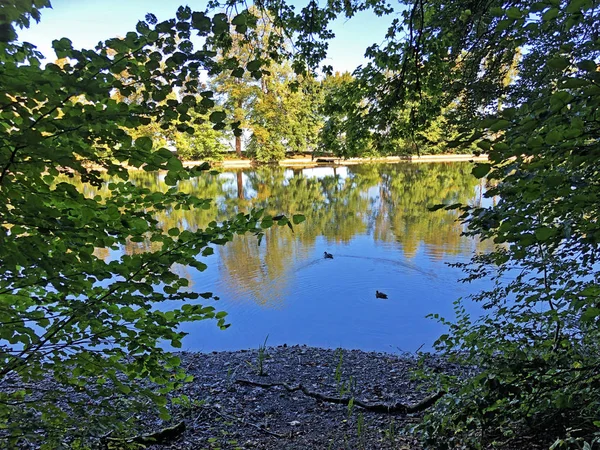 Buebenweier Lagoa Buebenweiher Área Recreação Três Lagoas Das Naherholungsgebiet Drei — Fotografia de Stock