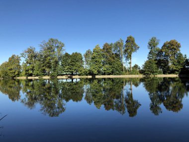 Buebenweier veya Buebenweiher göleti (Üç Pont dinlenme alanı veya Das Naherholungsgebiet Drei Weihern), Drei Weieren - St. Gallen, İsviçre