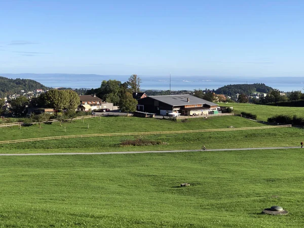 Malerische Weiden Den Hängen Oberhalb Von Gallen Schweiz — Stockfoto