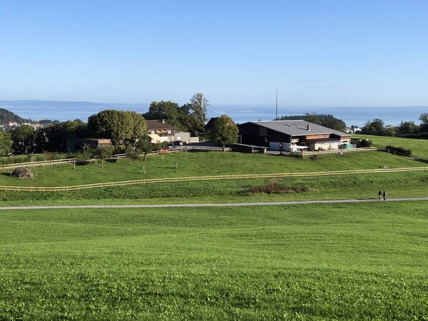 Malerische Weiden Den Hängen Oberhalb Von Gallen Schweiz — Stockfoto