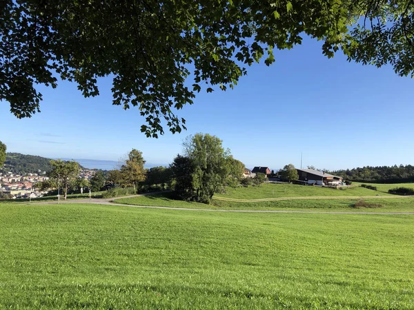 スイス ガレンの丘の中腹にある絵のように美しい牧草地 — ストック写真