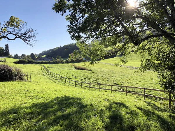 Malerische Weiden Den Hängen Oberhalb Von Gallen Schweiz — Stockfoto