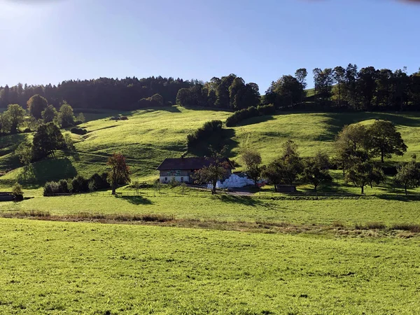 スイス ガレンの丘の中腹にある絵のように美しい牧草地 — ストック写真
