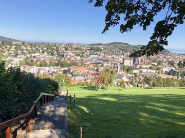 Şehrin Üç Gölet dinlenme alanından görünüşü - St. Gallen, İsviçre