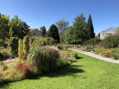 Botanik Bahçesi St. Gallen veya Der Botanische Bahçesi St. Gallen (Sankt Gallen 'deki Botanik Bahçesi), İsviçre