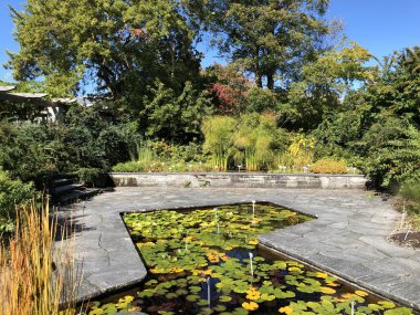 Botanik Bahçesi St. Gallen veya Der Botanische Bahçesi St. Gallen (Sankt Gallen 'deki Botanik Bahçesi), İsviçre