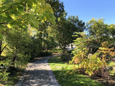 Botanik Bahçesi St. Gallen veya Der Botanische Bahçesi St. Gallen (Sankt Gallen 'deki Botanik Bahçesi), İsviçre