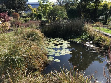 Botanik Bahçesi St. Gallen veya Der Botanische Bahçesi St. Gallen (Sankt Gallen 'deki Botanik Bahçesi), İsviçre