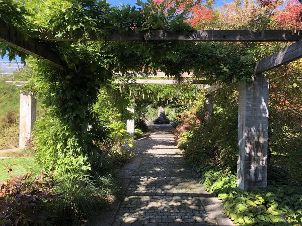 Ботанічний Сад Санкт Галлен Або Der Botanische Garten Gallen Botanical — стокове фото