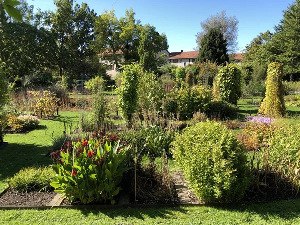 Jardín Botánico Gallen Der Botanische Garten Gallen Jardín Botánico Sankt — Foto de Stock