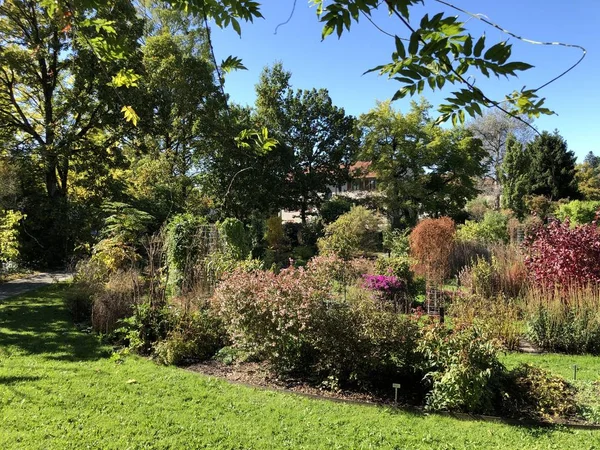 Jardín Botánico Gallen Der Botanische Garten Gallen Jardín Botánico Sankt — Foto de Stock