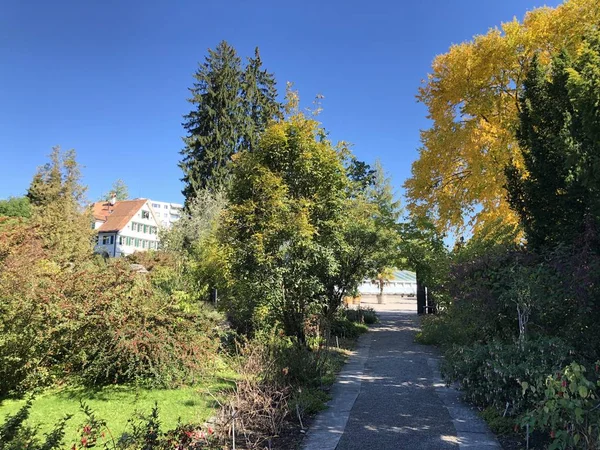 Botanischer Garten Gallen Oder Der Botanische Garten Gallen Schweiz — Stockfoto