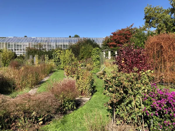 Ogród Botaniczny Gallen Lub Der Botanische Garten Gallen Ogród Botaniczny — Zdjęcie stockowe