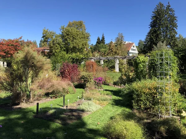 Jardín Botánico Gallen Der Botanische Garten Gallen Jardín Botánico Sankt — Foto de Stock