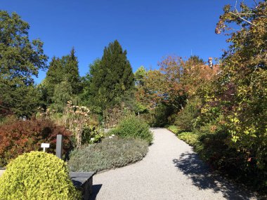 Botanik Bahçesi St. Gallen veya Der Botanische Bahçesi St. Gallen (Sankt Gallen 'deki Botanik Bahçesi), İsviçre