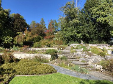 Botanik Bahçesi St. Gallen veya Der Botanische Bahçesi St. Gallen (Sankt Gallen 'deki Botanik Bahçesi), İsviçre
