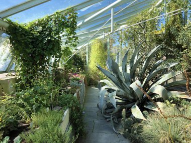 Alp evi veya Alpinenhaus - Botanik Bahçesi St. Gallen veya Der Botanische Garten St. Gallen (Sankt Gallen Botanik Bahçesi), İsviçre