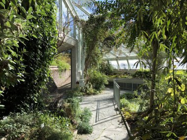 Alp evi veya Alpinenhaus - Botanik Bahçesi St. Gallen veya Der Botanische Garten St. Gallen (Sankt Gallen Botanik Bahçesi), İsviçre