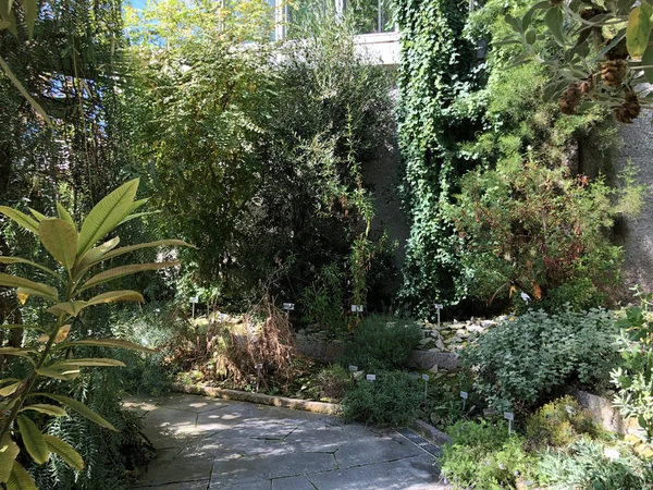 Alpský Dům Nebo Alpinenhaus Botanická Zahrada Gallen Nebo Der Botanische — Stock fotografie