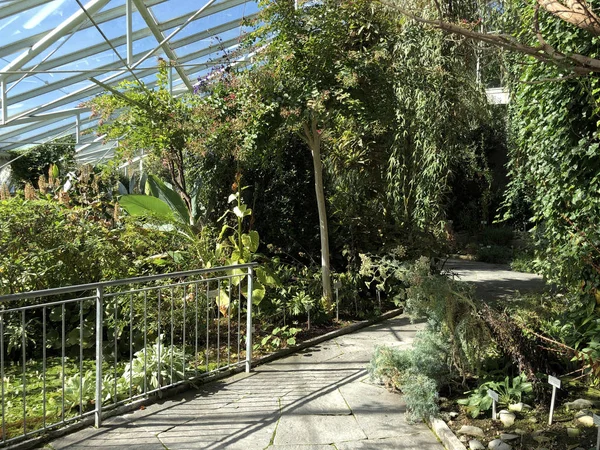 Alpesi Ház Vagy Alpinenhaus Botanikus Kert Gallen Vagy Der Botanische — Stock Fotó