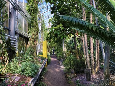 Tropikal ev veya Tropenhaus (Palm House veya Greenhouse) - Botanik Bahçesi St. Gallen veya Der Botanische Garten St. Gallen (The Botanik Garden in Sankt Gallen), İsviçre