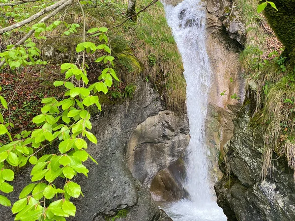 Vodopády Kaskády Alpského Potoka Meisibach Svazích Pohoří Pilatus Alpnach Kanton — Stock fotografie