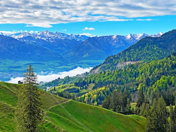 ピラタス山脈の斜面や山の麓の亜高山渓谷に落葉樹と常緑樹が混在する森林 アルパチ スイス オバルデン州 スイス のカントン — ストック写真