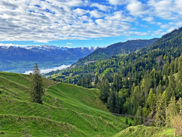ピラタス山脈の斜面や山の麓の亜高山渓谷に落葉樹と常緑樹が混在する森林 アルパチ スイス オバルデン州 スイス のカントン — ストック写真