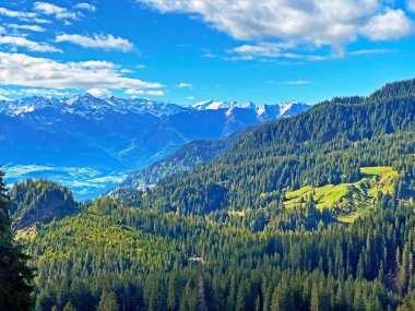 Evergreen ormanı veya kozalaklı ağaçlar Pilatus 'un yamaçlarında ve dağ zirvelerinin altındaki dağlık vadilerde, Alpnach - Obwalden Kantonu, İsviçre (Schweiz)