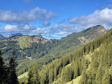 Evergreen ormanı veya kozalaklı ağaçlar Pilatus 'un yamaçlarında ve dağ zirvelerinin altındaki dağlık vadilerde, Alpnach - Obwalden Kantonu, İsviçre (Schweiz)