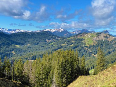 Evergreen ormanı veya kozalaklı ağaçlar Pilatus 'un yamaçlarında ve dağ zirvelerinin altındaki dağlık vadilerde, Alpnach - Obwalden Kantonu, İsviçre (Schweiz)
