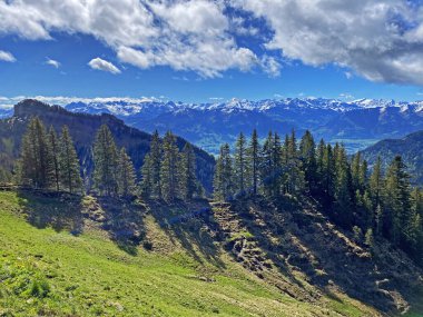 Evergreen ormanı veya kozalaklı ağaçlar Pilatus 'un yamaçlarında ve dağ zirvelerinin altındaki dağlık vadilerde, Alpnach - Obwalden Kantonu, İsviçre (Schweiz)