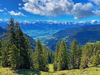 Evergreen ormanı veya kozalaklı ağaçlar Pilatus 'un yamaçlarında ve dağ zirvelerinin altındaki dağlık vadilerde, Alpnach - Obwalden Kantonu, İsviçre (Schweiz)