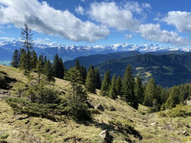 Evergreen ormanı veya kozalaklı ağaçlar Pilatus 'un yamaçlarında ve dağ zirvelerinin altındaki dağlık vadilerde, Alpnach - Obwalden Kantonu, İsviçre (Schweiz)